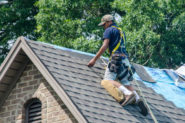 Best Metal Roofing Contractor  in Tn Lakes, WI